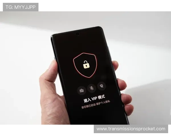 ds视讯app安全性评测及隐私保护措施保障用户个人信息安全与稳定使用体验